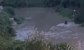  Một thiếu niên tại Đồng Nai bị nước cuốn mất tích