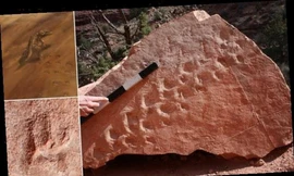 Đi bộ trong công viên, vô tình phát hiện dấu chân cổ đại kỳ bí