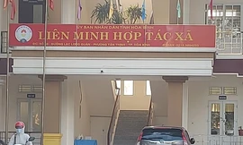 Liên minh HTX tỉnh Hoà Bình.