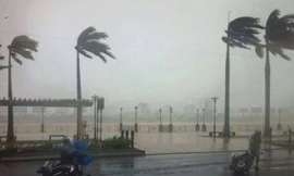 Áp thấp nhiệt đới tiến gần bờ, vùng biển Đà Nẵng gió giật cấp 8