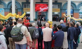 Hơn 15.000 khách quốc tế đến vịnh Hạ Long ngày đầu năm