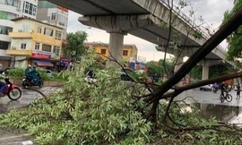 Bão số 3 gây mưa rất to, gió giật mạnh ở miền Bắc