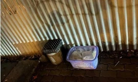 Bản tin 8H: Cặp song sinh bị bỏ rơi ven đường Vành đai 3