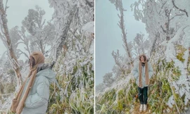 Những chuyến săn băng đáng nhớ