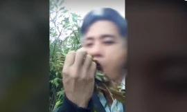 Bản tin 8H: Người đàn ông ăn lá ngón tự tử vì không được lấy vợ hai