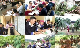 Nhiệm vụ, cơ cấu tổ chức của Ủy ban Dân tộc