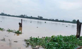 Bản tin 8H: Nguyên quyền Giám đốc Bệnh viện Phụ sản Tiền Giang nghi nhảy cầu tự tử