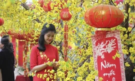 Bản tin 8H: Trình phương án nghỉ Tết Nguyên đán 7 ngày