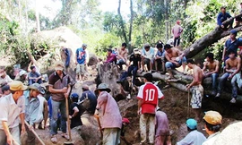 Đào rừng phòng hộ Gộp Ngà tìm kỳ nam