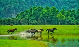 Vẻ đẹp hoang sơ, độc đáo của thảo nguyên giữa vùng núi đá