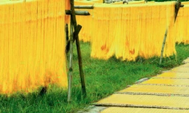 Làng miến hơn 400 năm ở Hà Nội lên truyền hình Mỹ