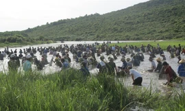 Hàng trăm người lội đầm bắt cá cầu may