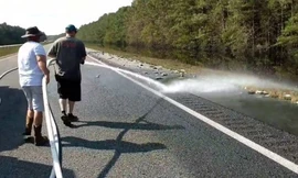 Hàng nghìn con cá chết phủ kín đường cao tốc