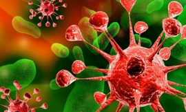 Siêu khuẩn kháng thuốc có thể giết 10 triệu người/năm