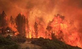 Cháy rừng bao trùm như tận thế, cặp vợ chồng quyết không sơ tán