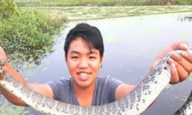 Đặt lợp bẫy cá nhưng được rắn 'khủng'