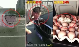 Nắng nóng khủng khiếp ở Trung Quốc: Những hình ảnh không tin nổi