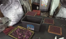 Phát hiện thuốc ung thư làm từ bột than tre