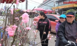 Đào Nhật Tân xuống phố đón Tết sớm