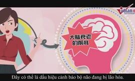 Cách rèn luyện trí não làm chậm quá trình lão hóa