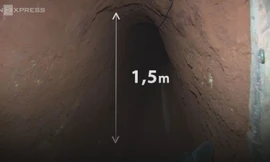 Mục kích đường hầm đào vàng nằm trong vườn chanh dây