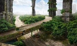 Cuộc sống trên Trái Đất sau khi con người biến mất