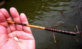 Nghệ thuật bắt cá nhỏ như móng tay ở Nhật