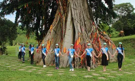 Cây mộc thần gần 500 tuổi ở Khánh Hòa hút khách du lịch