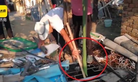 Choáng với quả mướp dài 2,57m của nông dân Trung Quốc