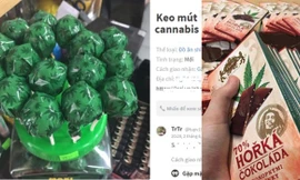 Kẹo mút cần sa - Liệu có chứa chất kích thích?