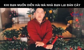 Khi bạn có năng khiếu diễn kịch mà nhà bạn lại bán cây