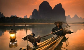 Nghệ thuật đánh cá bằng chim cốc trên dòng Lệ Giang
