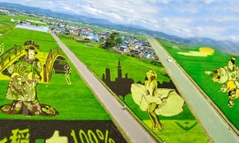 Những bức tranh 3D tuyệt đẹp được vẽ trên đồng lúa