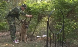 Những chú chó tinh khôn đánh án ở vùng biên