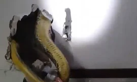 Chủ nhà tá hỏa khi phát hiện con trăn khổng lồ trốn trong tường