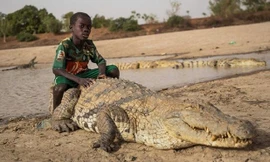 Nơi người và cá sấu có kết nối huyền bí