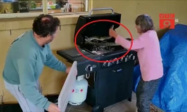 Clip: Cụ bà 81 tuổi tay không bắt 2 con trăn trong lò nướng