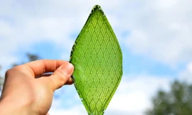 'Lá nhân tạo' lần đầu tiên do Việt Nam phát triển