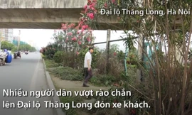 Người dân vượt chắn rào đón xe trên đại lộ Thăng Long