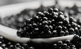 Vì sao trứng cá tầm lại được gọi là 'vàng đen', có giá trên trời?