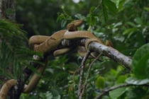 5 khu vực đáng sợ trên Trái Đất