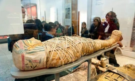 Bí mật giúp xác ướp nguyên vẹn sau hàng nghìn năm