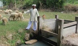 Hai giếng cổ Chăm hơn 500 tuổi ở Ninh Thuận