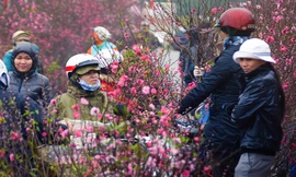  Ngày mai, miền Bắc đón đợt rét mới, tái rét đậm diện rộng