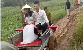Nghệ An: Chuyện chưa biết về đám cưới chú rể đón dâu bằng xe trâu