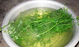 Vì sao cuối năm tắm lá nước mùi già?