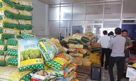 Tràn lan thóc giống giả tại miền Tây