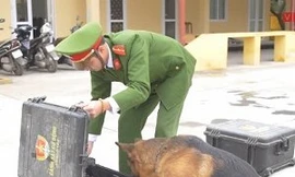 Xem 'chiến binh 4 chân' của công an Thủ đô hít vali tìm thuốc nổ