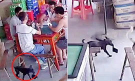 Mất ví lúc chơi bài, kiểm tra camera phát hiện thủ phạm không ngờ