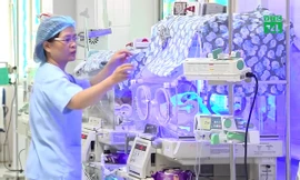 Bé sinh non nghi có bố mẹ chết cháy ở La Thành giờ ra sao?